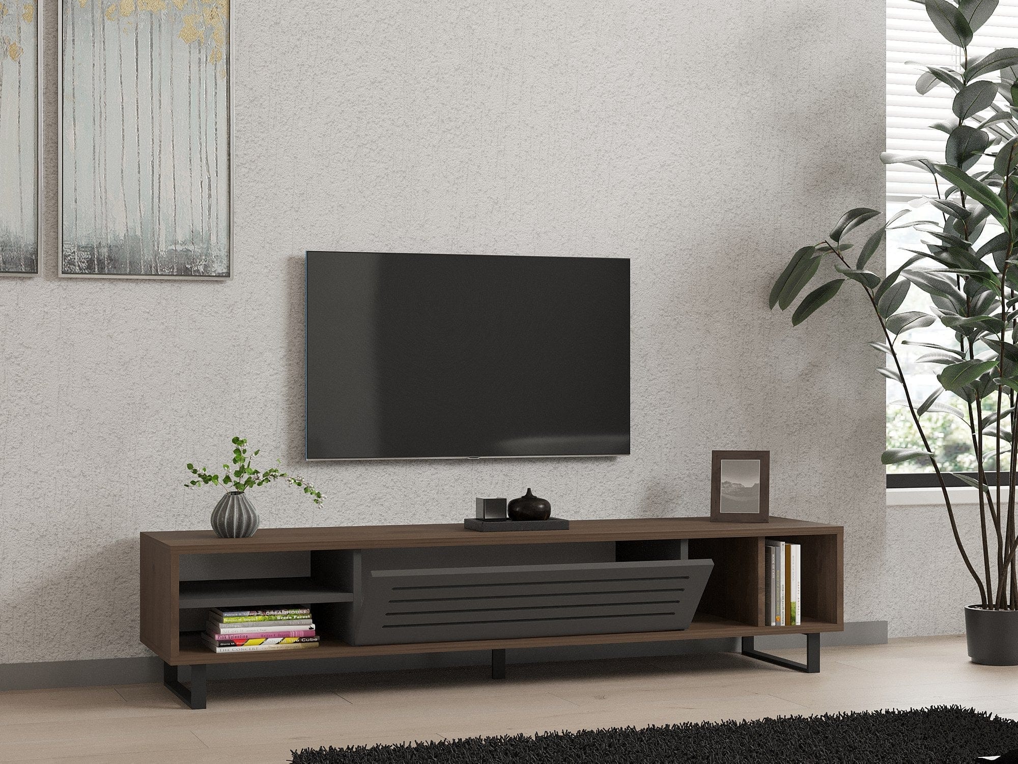 Mobile TV con 1 anta Eray Noce (1)