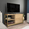 Mobile TV con 1 anta Muskegon Oro (1)