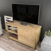 Mobile TV con 1 anta Muskegon Oro (2)