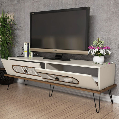 Mobile TV con 2 ante Ekol Crema (1)