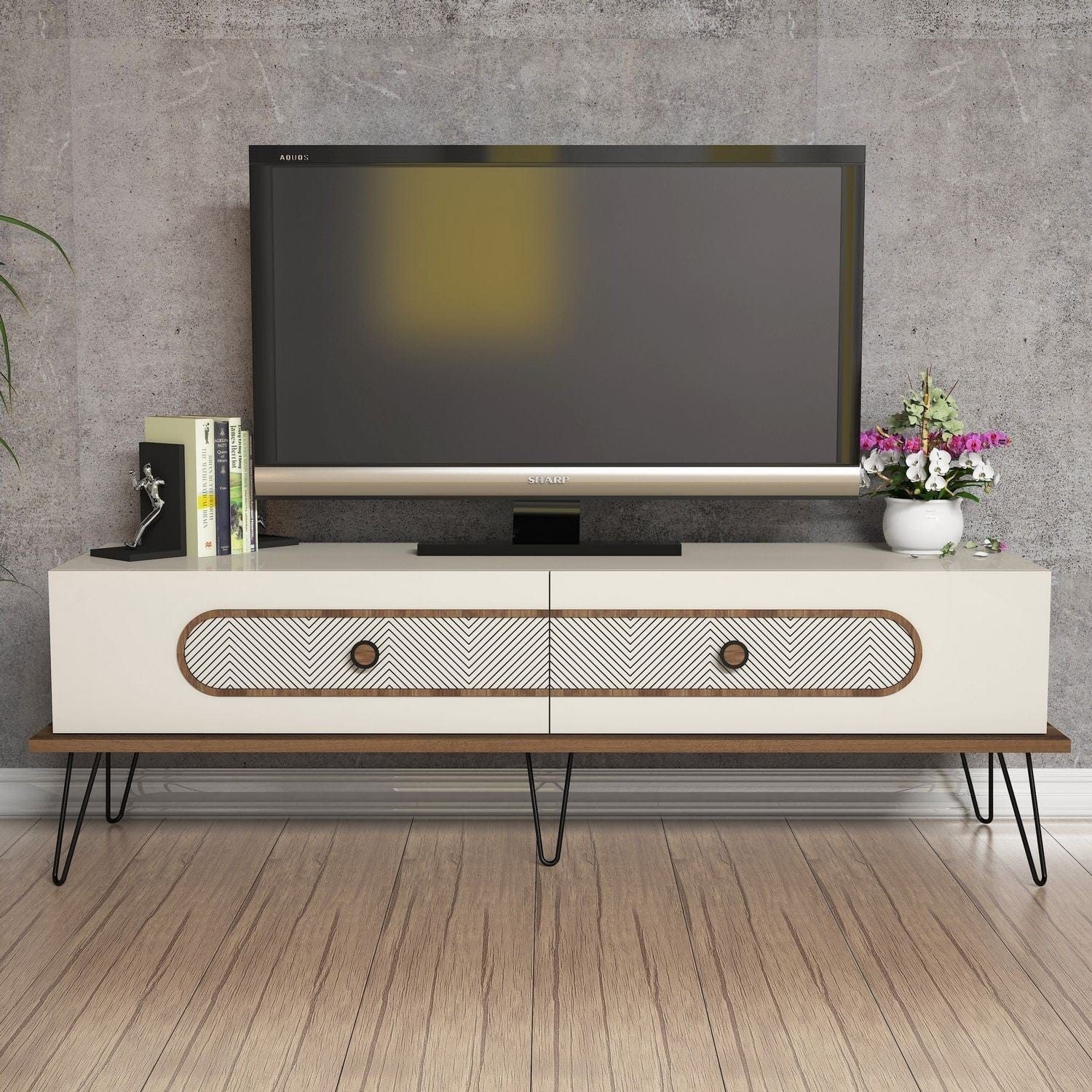 Mobile TV con 2 ante Ekol Crema (2)