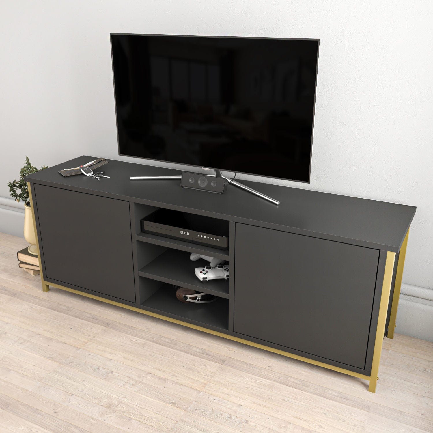 Mobile TV con 2 ante Otis Oro (2)