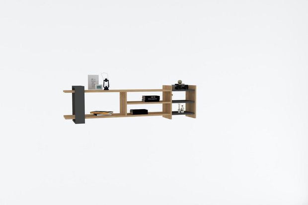 Mobile TV Elis Quercia (1)