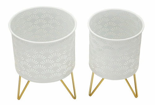 P/Vasi Carly Coppia cm Ø 16x20-13x20 (1)