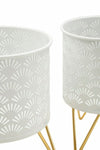 P/Vasi Carly Coppia cm Ø 16x20-13x20 (2)