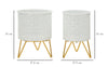 P/Vasi Carly Coppia cm Ø 16x20-13x20 (5)