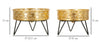 P/Vasi Zanny Coppia cm Ø 20,5x13-18x13 (5)