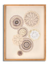 Pannello C/Cornice Circly C/Inserti cm 45x3,2x60