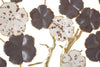 Pannello In Ferro Albero Purpy cm 73,7x5x80 (3)