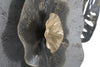 Pannello In Ferro Edy -B- cm 74,9x7x47,6 (3)