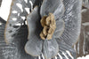 Pannello In Ferro Greys -A- cm 157,5x9x66,5 (3)