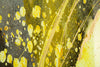 Pannello Vetro C/Cornice Sunny cm 80x3,5x120 (3)