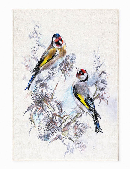 Oyo Passatoia Birds 154 Multicolore