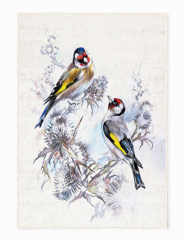 Oyo Passatoia Birds 154 Multicolore
