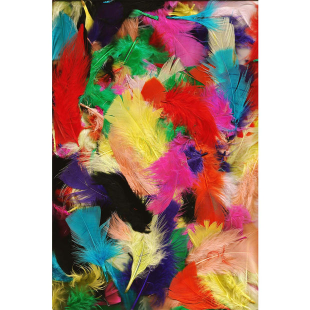Oyo Passatoia Bunnie 8 Multicolore
