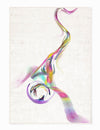 Oyo Passatoia Colored 108 Multicolore