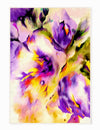 Oyo Passatoia Hippime 152 Multicolore