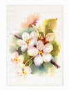 Oyo Passatoia Hoprose 113 Multicolore