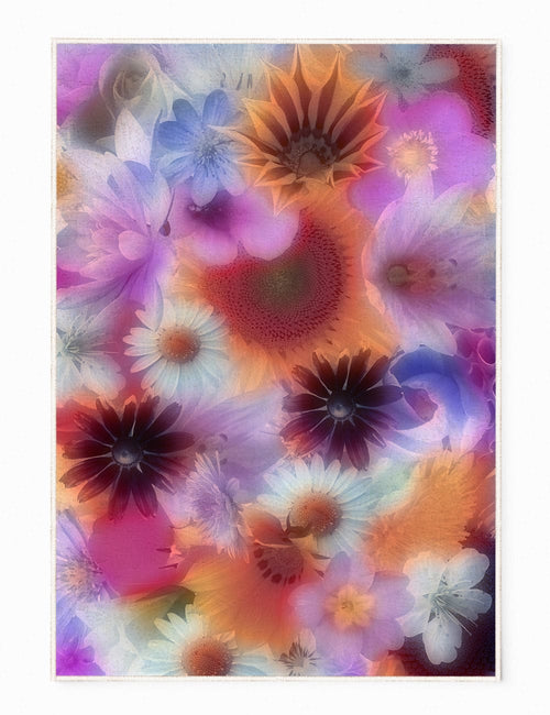 Oyo Passatoia Hypnose 153 Multicolore