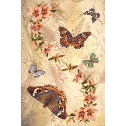Oyo Passatoia Oburix 1885 Multicolore