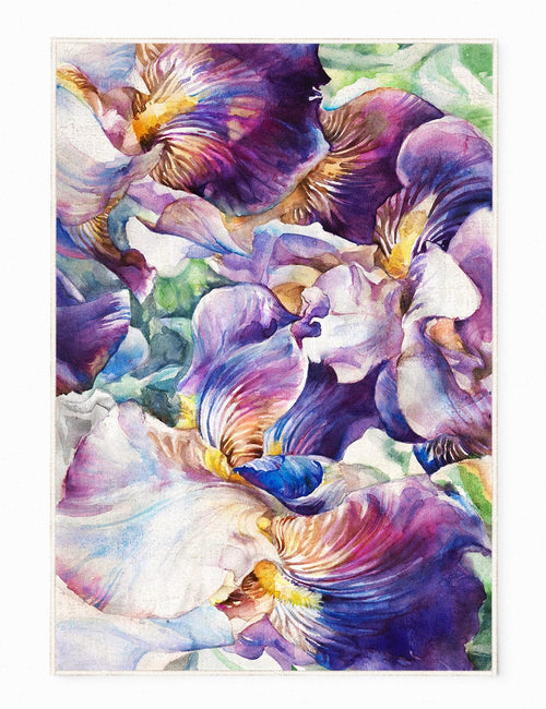 Oyo Passatoia Revoli 156 Multicolore