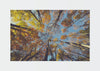 Oyo Passatoia Rugero 0027M Multicolore