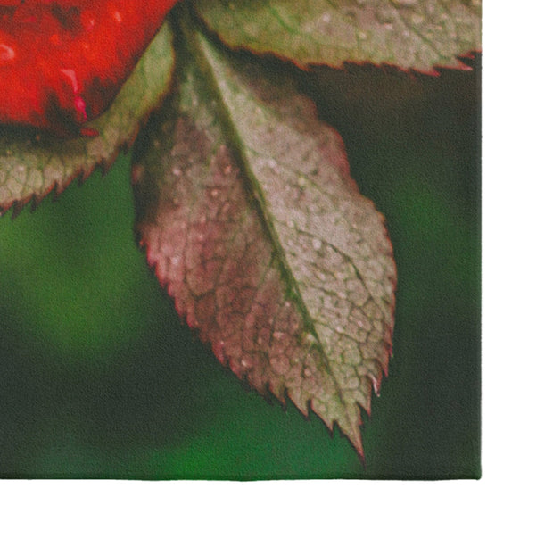 Oyo Passatoia Rugero 0028M Multicolore