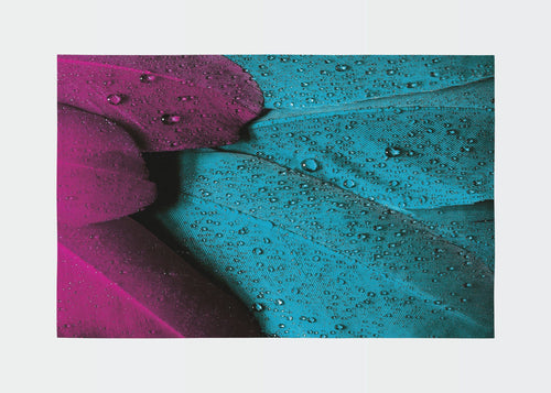 Oyo Passatoia Rugero 0029M Multicolore