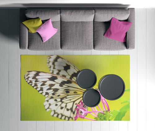 Oyo Passatoia Rugero 0030M Multicolore