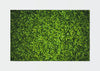 Oyo Passatoia Rugero 0032M Multicolore