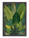 Oyo Passatoia Sedra 015SK Multicolore