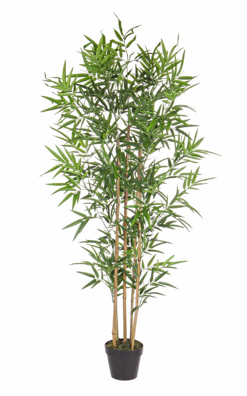 Bizzotto Pianta artificiale Bamboo Verde