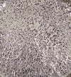 Piatto decorativo Antique Big Argento (2)
