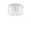 Plafoniera Almond PL9 Bianco