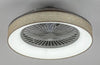 Plafoniera Benicio 5420 Grigio (3)