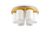 Plafoniera Daisy PL6 Oro