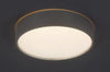 Plafoniera Larcia 75010 Argento (2)