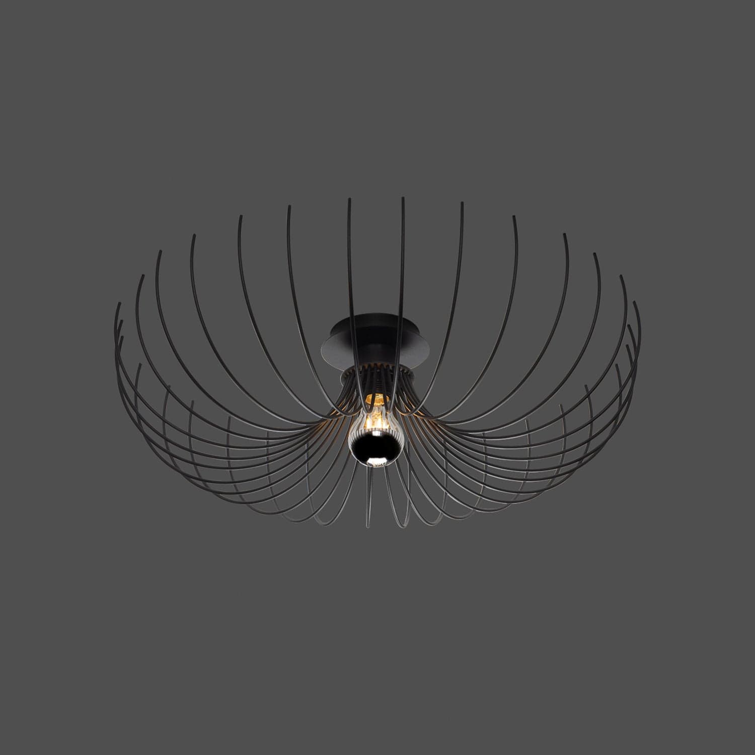 Oyo Plafoniera Opilio Nero