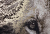 Bizzotto Quadro di tela Bold 906 Lion Oro