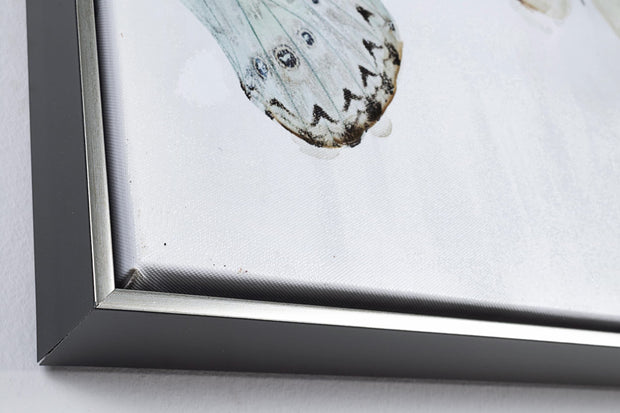 Bizzotto Quadro di tela Crown V042-2 Butterflies B Multicolore