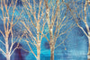 Bizzotto Quadro di tela Gallery 885 Trees Oro