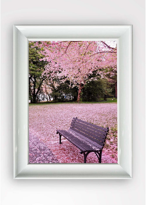 Quadro Incorniciato Blossom Pink Multicolore & OYOTR-5BC2394757 & OYOTR-5BC2394757