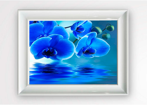 Quadro Incorniciato Blue Orchid Multicolore & OYOTR-5BC2664561 & OYOTR-5BC2664561