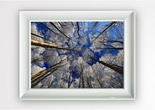 Quadro Incorniciato Blue Sky Multicolore & OYOTR-5BC1029721 & OYOTR-5BC1029721 & OYOTR-5BC1029721