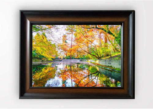 Quadro Incorniciato Bright Fall Forest Multicolore & OYOTR-5KC1007638 & OYOTR-5KC1007638