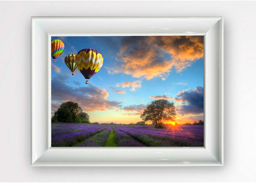 Quadro Incorniciato Lavanda Balloon Multicolore & OYOTR-5BC71296 & OYOTR-5BC71296 & OYOTR-5BC71296