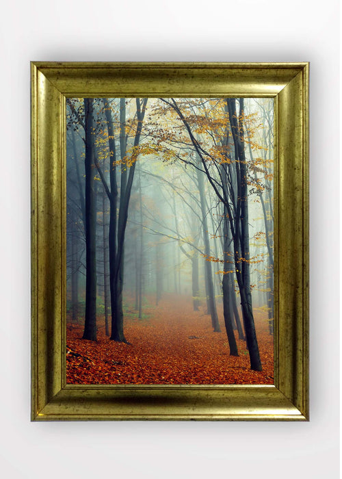 Quadro Incorniciato Leaf Carpet Multicolore & OYOTR-5AC4249593 & OYOTR-5AC4249593