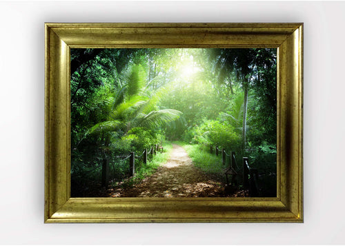 Quadro Incorniciato Nature Multicolore & OYOTR-5AC1414873 & OYOTR-5AC1414873 & OYOTR-5AC1414873