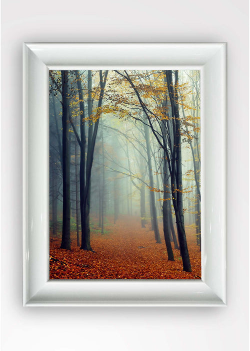 Quadro Incorniciato Peak Autumn Multicolore & OYOTR-5BC4249593 & OYOTR-5BC4249593