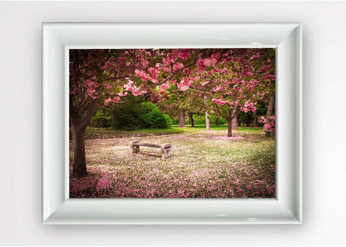 Quadro Incorniciato Pink Park Multicolore & OYOTR-5BC2567538 & OYOTR-5BC2567538 & OYOTR-5BC2567538